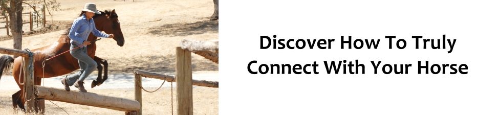 Connect With Your Horse